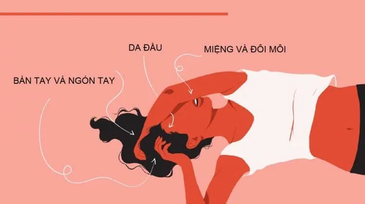 Da đầu là điểm nhạy cảm