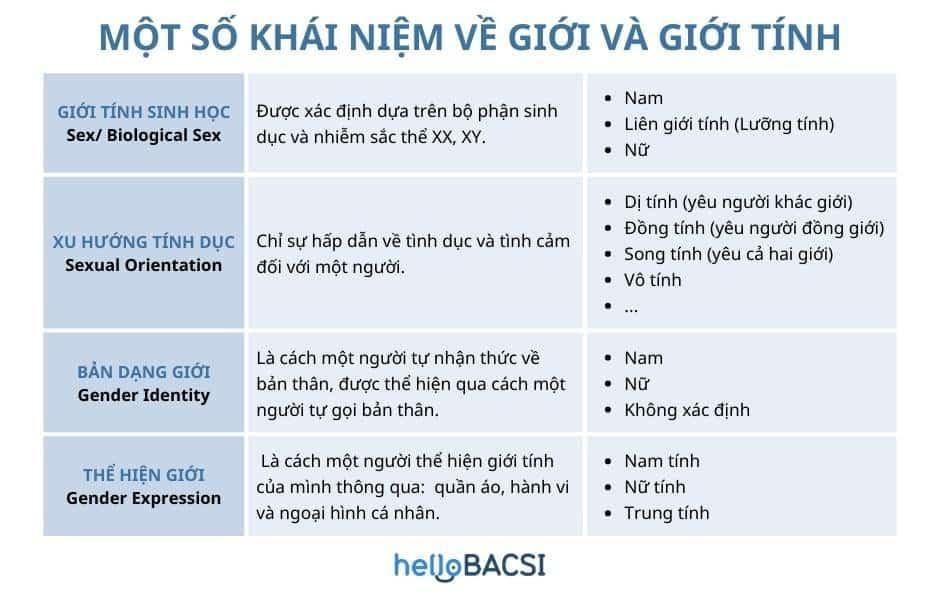 Khái niệm về giới