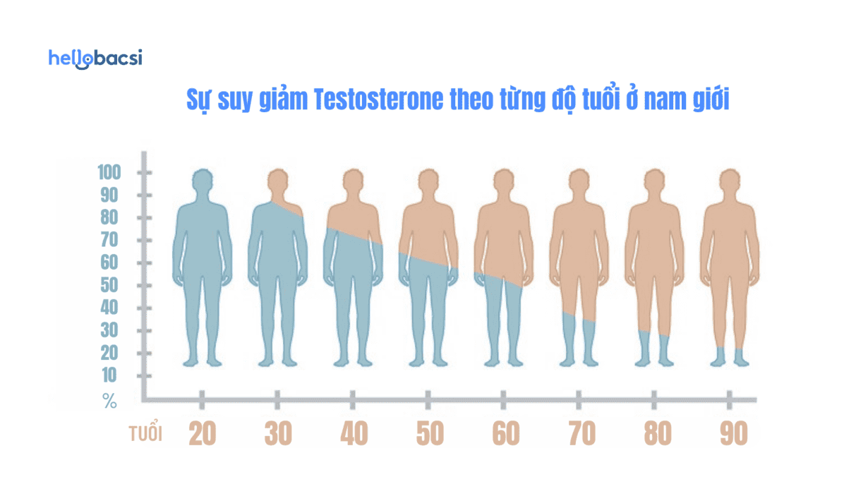 Testosterone giảm theo độ tuổi