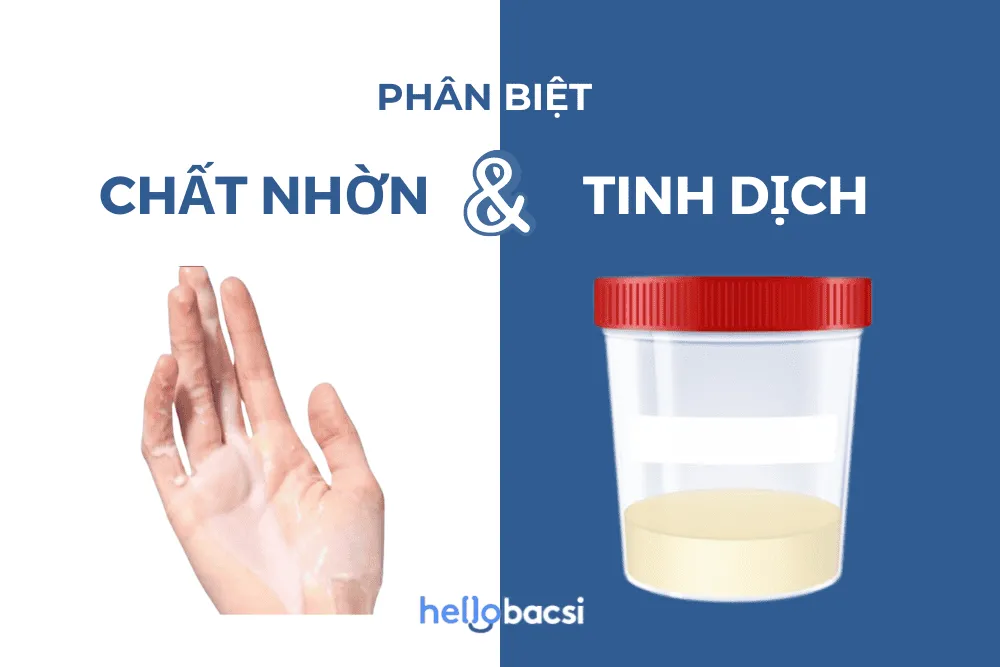Phân biệt chất nhờn và tinh dịch