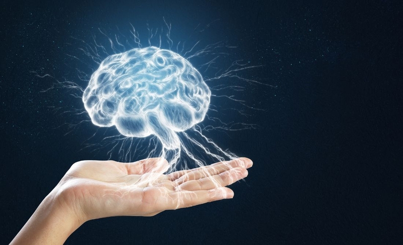 Tác dụng của thiền định đối với não bộ